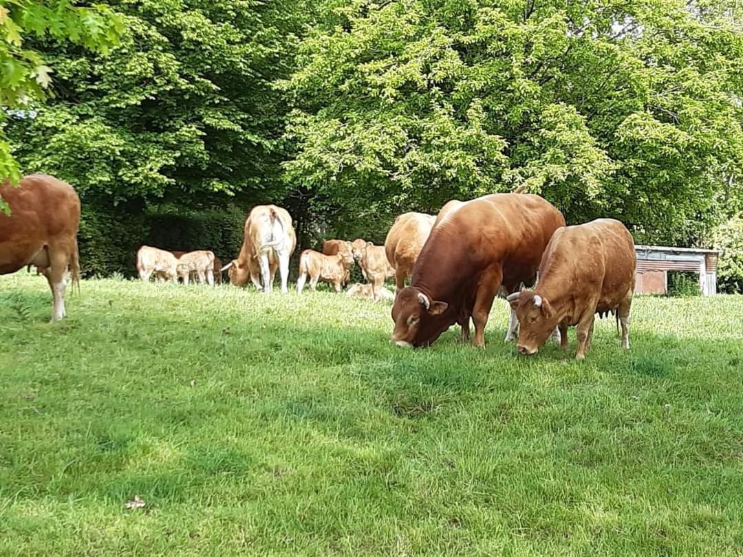 Au Bocage Parfume Gite La Cigaline Wirwignes Buitenkant foto